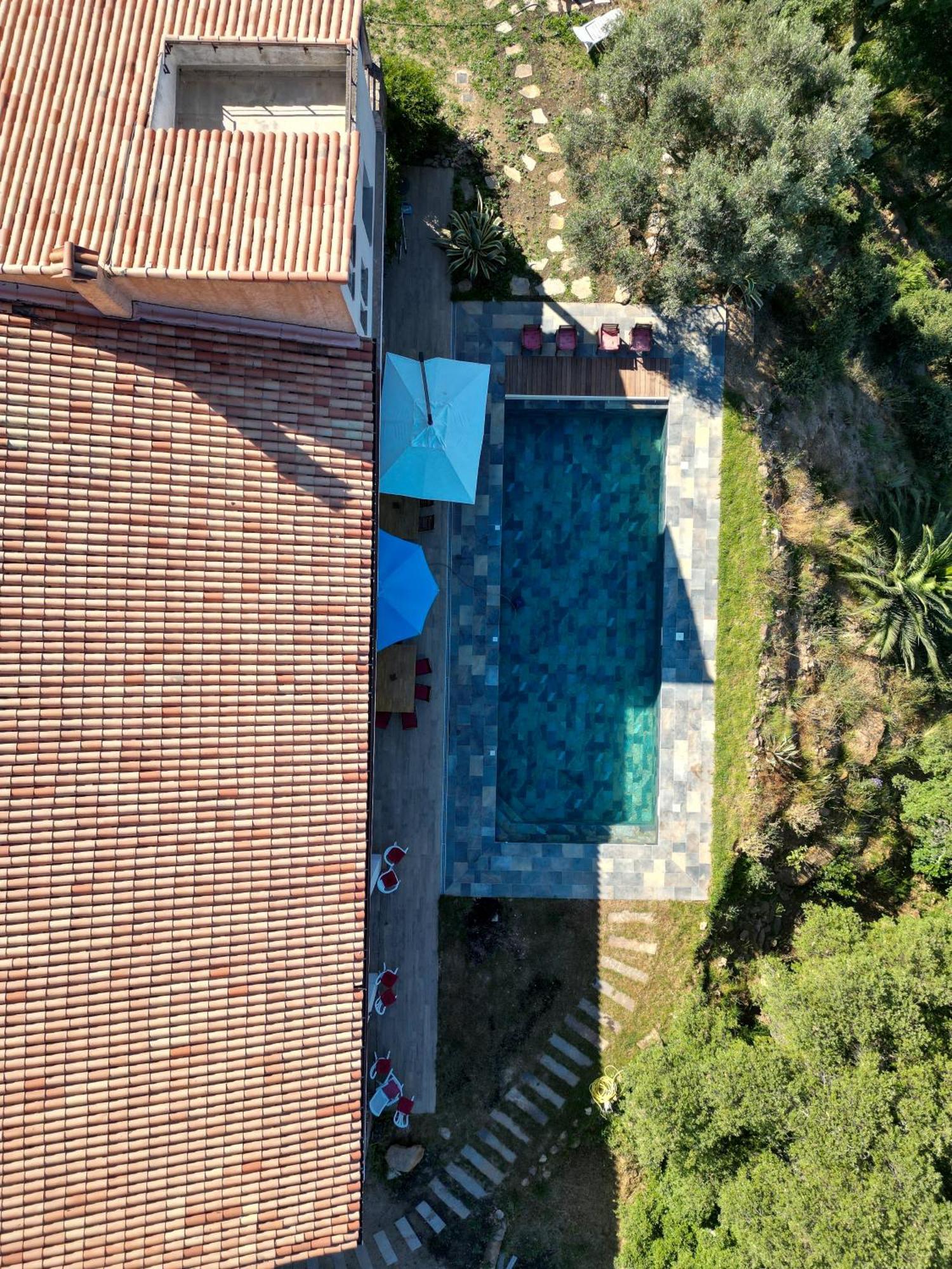Grande Villa 750 M2 Le Mas Des Chenes Bormes-les-Mimosas Exterior foto